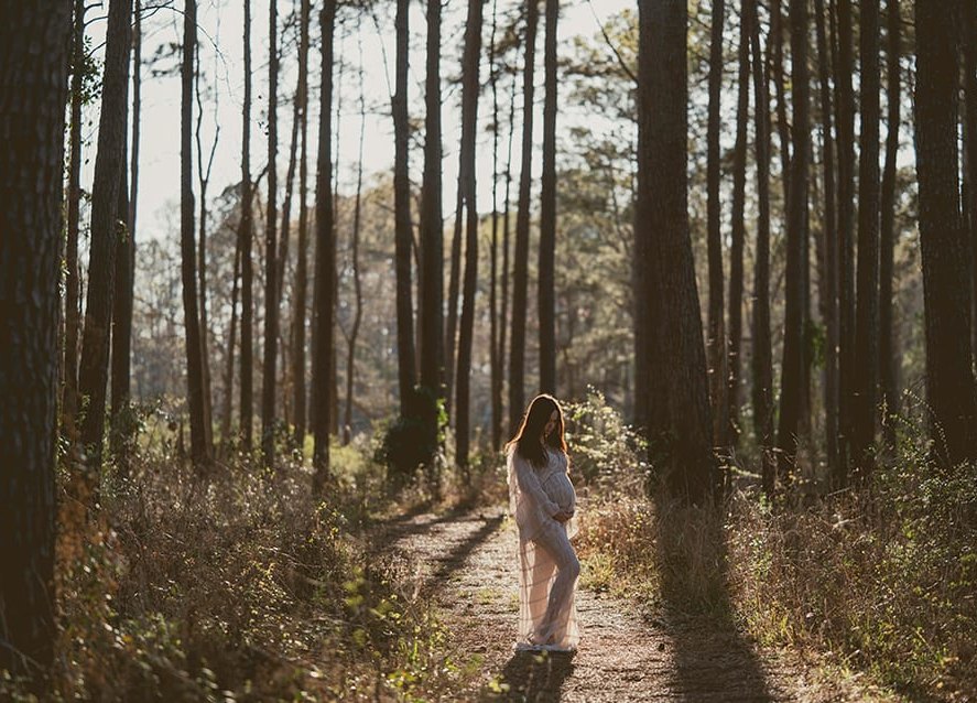 South Carolina maternity photographer — expecting mother in a lace gown on a sunlit path through tall Lowcountry pines